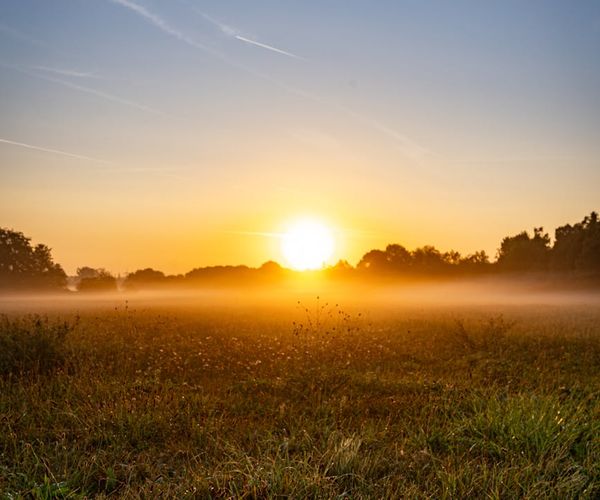Serene landscape with soft morning light representing peace